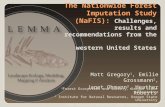 The Nationwide Forest Imputation Study (NaFIS): Challenges, results and recommendations from the western United States Matt Gregory 1, Emilie Grossmann.