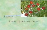 Lesson 2 Producing Nursery Crops. Next Generation Science/Common Core Standards Addressed! §WHST.9 ‐ 12.2 Write informative/explanatory texts, including.
