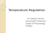 Temperature Regulation Dr Dileep Verma Associate Professor Deptt of Physiology KGMU.