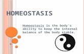 H OMEOSTASIS Homeostasis is the body’s ability to keep the internal balance of the body stable.