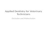 Occlusion and Malocclusion Applied Dentistry for Veterinary Technicians.