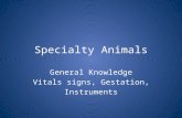 Specialty Animals General Knowledge Vitals signs, Gestation, Instruments.