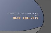 So really, what can we find out from hair?.  Hair can be very valuable to forensic scientists.  Need to be familiar with hair structure and chemistry.