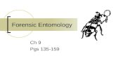Forensic Entomology Ch 9 Pgs 135-159. I. Introduction 1. Entomology is the study of insects. 2. Forensic Entomology is the study of the insects associated.