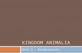 KINGDOM ANIMALIA Unit 2 - Biodiversity. 2 Hierarchy-Taxonomic Groups  Domain  Kingdom  Phylum (Division – used for plants)  Class  Order  Family.