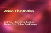 Unit Two – God’s Living Creation Chapter Five – Animal Classification.