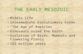 THE EARLY MESOZOIC Middle Life Intermediate Evolutionary Forms “The Age of Reptiles” Dinosaurs ruled the Earth Evolution of Birds, Mammals and Flowering.