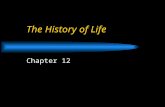 The History of Life Chapter 12. The Fossil Record Fossil Forming  Perminerilization  Natural Casts  Trace Fossils  Amber preserved fossils  Preserved.