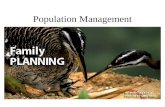 Population Management. Minimum Viable Population The smallest population for a species which can be expected to survive for a long time Many factors effect.