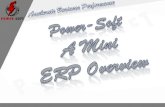Power-Soft Mini ERP Overview Welcome to Power-Soft Mini ERP - one of the most advanced and comprehensive SBS enterprise management software solution available.