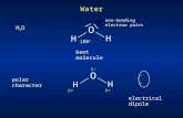 Water H2OH2O O H H 105 o bent molecule non-bonding electron pairs polar character O H H - + -- ++ ++ electrical dipole.