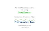 An End-User Perspective On Using NatQuery Extraction From two Files  T. 802 485 6112.