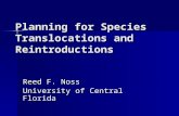 Planning for Species Translocations and Reintroductions Reed F. Noss University of Central Florida.