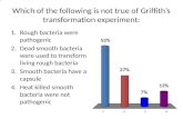 Which of the following is not true of Griffith’s transformation experiment: 1.Rough bacteria were pathogenic 2.Dead smooth bacteria were used to transform.