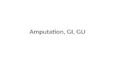 Amputation, GI, GU. Amputation Medical Management or Surgery –Arterial Insufficiency –Venous Insufficiency –BKA –AKA –Ankle and Foot Amputations.
