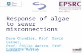 Response of algae to sewer misconnections Dave Chandler, Prof. David Lerner, Prof. Philip Warren, Prof. Lorraine Maltby d.chandler@sheffield.ac.uk @diatomdave.