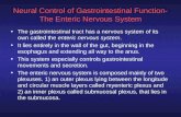 Neural Control of Gastrointestinal Function- The Enteric Nervous System The gastrointestinal tract has a nervous system of its own called the enteric nervous.