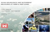 BUILDING STRONG ® AVIAN ABUNDANCE AND DETERRENT MEASURES AT NWW & NWP DAMS US Army Corps of Engineers BUILDING STRONG ® FPOM – Subgroup: Inland Avian WG.