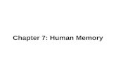 Chapter 7: Human Memory. Human Memory: Basic Questions  How does information get into memory?  How is information maintained in memory?  How is information.