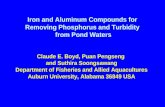Iron and Aluminum Compounds for Removing Phosphorus and Turbidity from Pond Waters Claude E. Boyd, Puan Pengseng and Suthira Soongsawang Department of.