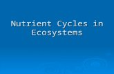 Nutrient Cycles in Ecosystems. Biogeochemical Cycle  The flow of a nutrient from the environment to living organisms and back to the environment  Main.