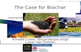 Annette Cowie, Bhupinderpal Singh Lukas Van Zwieten The Case for Biochar.