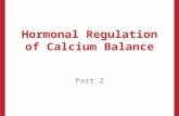 Hormonal Regulation of Calcium Balance Part 2. Dr. M. Alzaharna (2014) Calcitonin Calcitonin is produced by parafollicular cells of the thyroid gland.
