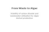 From Waste to Algae Viability of carbon dioxide and wastewater utilization for algae biofuel production.