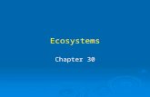 Ecosystems Chapter 30. Ecosystem An array of organisms and their physical environment, interconnected through a one-way flow of energy and cycling of.