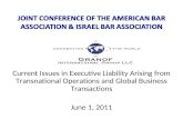 Current Issues in Executive Liability Arising from Transnational Operations and Global Business Transactions June 1, 2011.