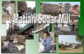 Matiari Sugar mill Visit 15-1-2012. The visit of Matiari Sugar mill had started from the morning of Saturday 15th January, 2012. After reaching the Matiari.