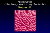1 Prokaryotes (the fancy way to say Bacteria) Chapter 27.