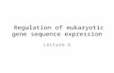 Regulation of eukaryotic gene sequence expression Lecture 6.