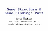 Gene Structure & Gene Finding: Part I David Wishart Rm. 3-41 Athabasca Hall david.wishart@ualberta.ca.