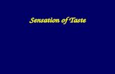 Sensation of Taste. Chemical Senses -TASTE -SMELL Both determine the flavour of food Taste and smell are closely linked even though they involve different.