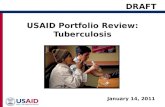 USAID Portfolio Review: Tuberculosis January 14, 2011 1 DRAFT.