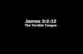 James 3:2-12 The Terrible Tongue. James 3:1-12 1 Let not many of you become teachers, my brethren, knowing that as such we will incur a stricter judgment.