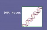 DNA Notes. What is DNA DNA stands for Deoxyribonucleic Acid DNA – The material inside the nucleus of cells that carries genetic information.