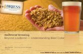 Technical Brewing Beyond Lovibond — Understanding Beer Color Bob Hansen - Technical Services Manager 4.18.08.