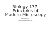 Biology 177: Principles of Modern Microscopy Lecture 09: Polarization and DIC.