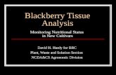 Blackberry Tissue Analysis Monitoring Nutritional Status in New Cultivars David H. Hardy for BRC Plant, Waste and Solution Section NCDA&CS Agronomic Division.