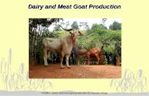 VGRRC: Dairy and meat goat production by Susanne Hugo Dairy and Meat Goat Production.