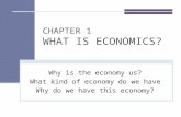 CHAPTER 1 WHAT IS ECONOMICS? Why is the economy us? What kind of economy do we have Why do we have this economy?