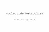 Nucleotide Metabolism C483 Spring 2013. 1. A ribose sugar is added to ________ rings after their synthesis and to ________ rings during their synthesis.