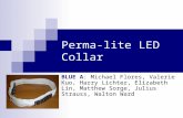 Perma-lite LED Collar BLUE A: Michael Flores, Valerie Kuo, Harry Lichter, Elizabeth Lin, Matthew Sorge, Julius Strauss, Walton Ward.