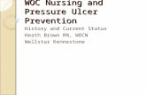 WOC Nursing and Pressure Ulcer Prevention History and Current Status Heath Brown RN, WOCN Wellstar Kennestone.