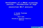 Development of a BRCA2 screening service – Introduction of high resolution MELT analysis A Grade Trainee Project Nick Camm Yorkshire Regional Genetics.