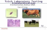 1 Proprietary & Confidential Trich Laboratory Testing Standardization Trichomonas foetus DNA testing Proper & Confidential.