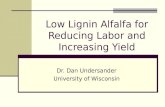 Low Lignin Alfalfa for Reducing Labor and Increasing Yield Dr. Dan Undersander University of Wisconsin.