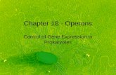 Chapter 18 - Operons Control of Gene Expression in Prokaryotes.